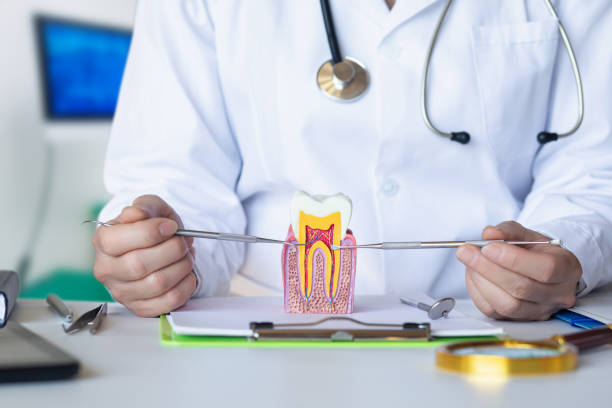 Best Broken or Chipped Tooth Repair in Silverthorne, CO